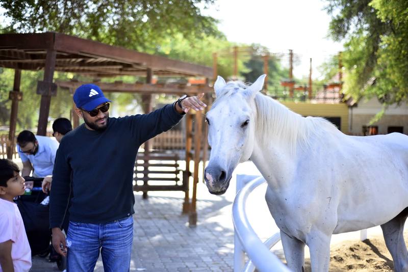 Father reaching out to greet a white horse at the stables