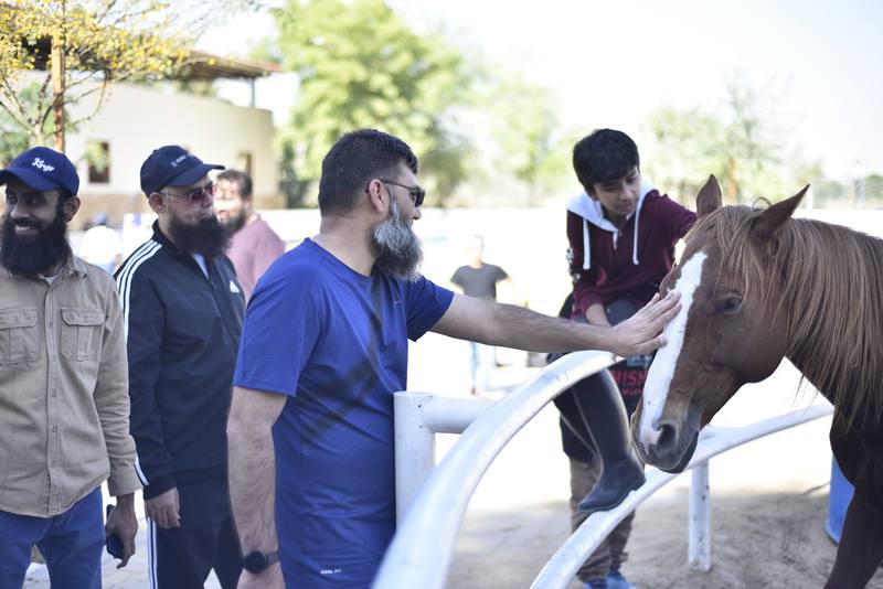 Group of fathers and a boy taking turns petting the chestnut horse