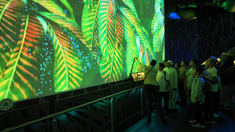 Guide pointing at the leaf projection as students watch