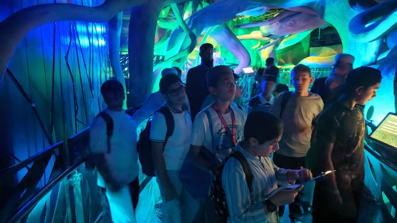 Students walking through the giant tree root installation
