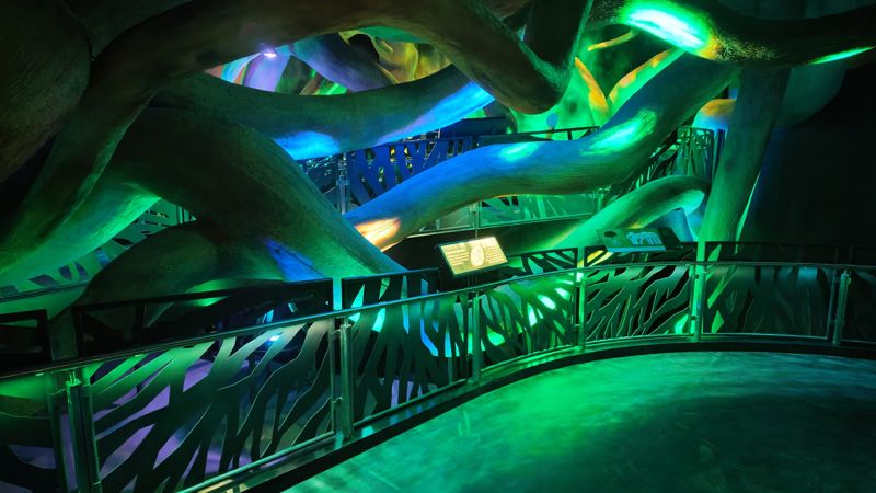 Glowing tree root sculpture and walkway