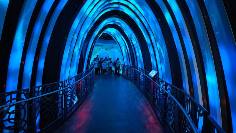 Students at the end of the glowing blue ocean tunnel