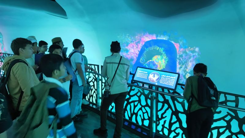 Students learning about coral at an underwater exhibit