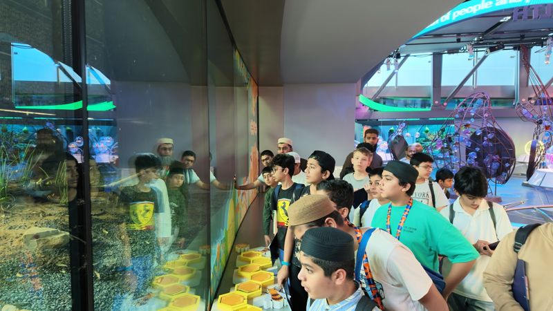 Students looking into a desert habitat display