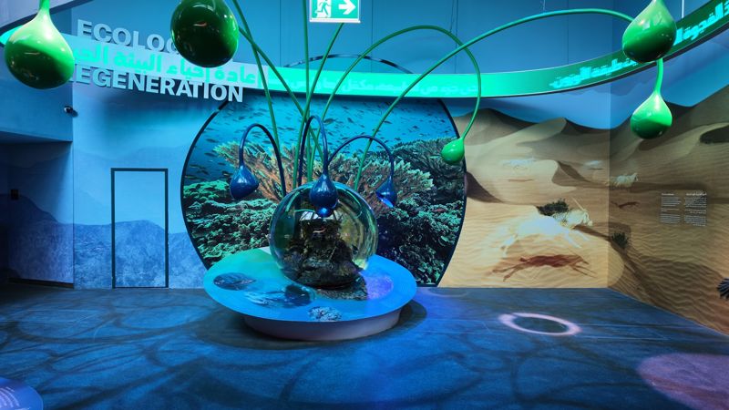Ecological regeneration exhibit with a coral globe